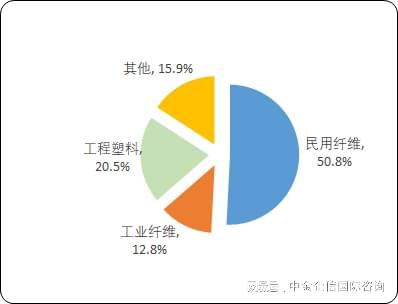 2024年全球及中国尼龙6市场容量发展预测研报（含地区占比趋势）(图4)