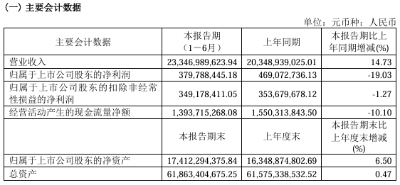 金发科技毛利率“一降再降”：两家石化子公司亏损超8亿元 货币资金无法覆盖短期借款