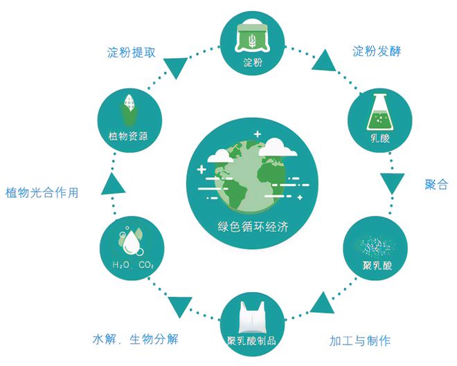 聚乳酸：绿色未来的多面手材料