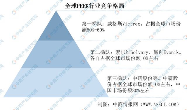 2025年中国PEEK材料行业市场前景预测研究报告(图8)