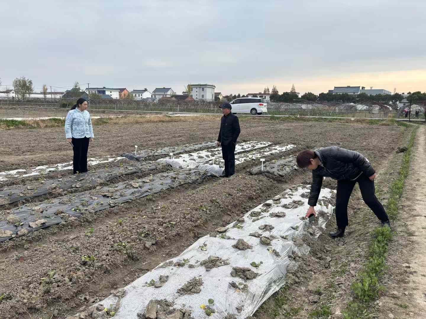 农田穿上环保衣助力绿色减塑(图4)